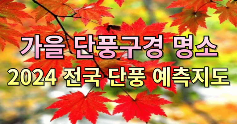 2024 전국 가을 단풍구경 명소 추천, 단풍시기 및 단풍예측지도 11 2024 전국 단풍명소 단풍시기 단풍지도 썸네일