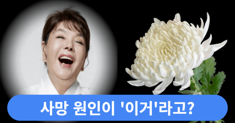 "진짜 '이것' 때문에 사망했다고?" 김수미, 조사 결과 사망 원인이 밝혀졌는데... 9 김수미 사망원인 썸네일