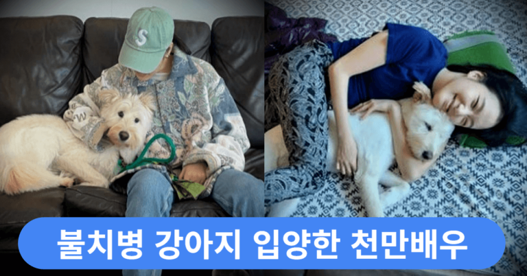 "불치병 강아지 입양한 천만배우" 최근 근황과 입양 이유가 알려지자 모두 감동했다 8 천만배우 입양견 썸네일