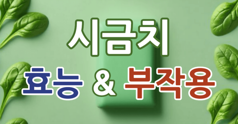 시금치 효능 & 시금치 부작용(2025 최신) 11 시금치 효능 썸네일