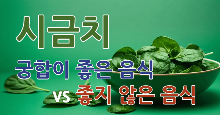 시금치와 궁합이 좋은 음식 vs 좋지 않은 음식(+2025 건강하게 시금치 먹는 팁) 12 시금치 궁합 썸네일