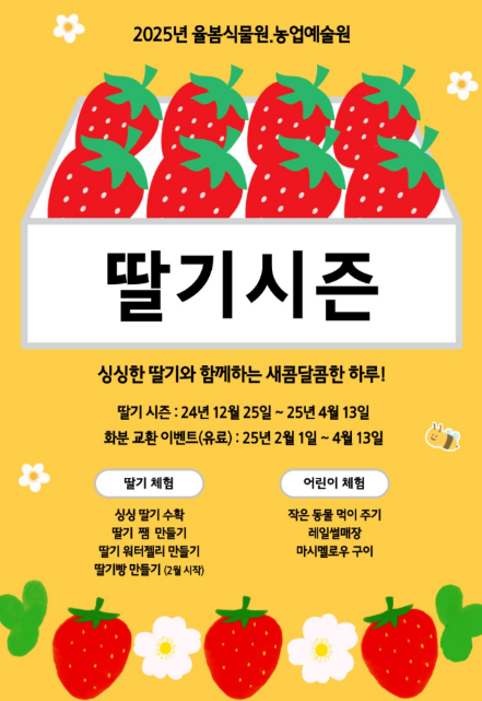 2025년 3월 대한민국 전국 가볼 만한 곳 축제 및 행사 일정 📅 6 image 9