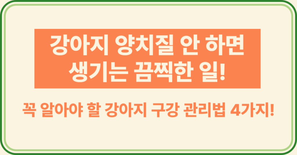 강아지 양치질 안 하면 생기는 끔찍한 일! 꼭 알아야 할 강아지 구강 관리법 4가지 1 90