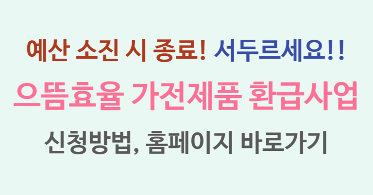 최대 30만원 지원, 으뜸효율 가전제품 구매비용 환급사업 신청 방법 및 홈페이지 사이트 총정리 6 으뜸효율 가전제품 환급사업 썸네일